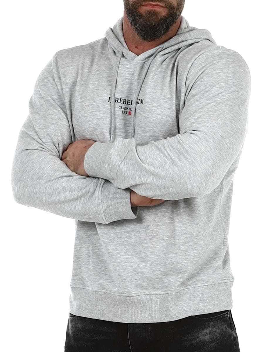 12268879 light-grey-Rebel Print Hoodie_4.jpg