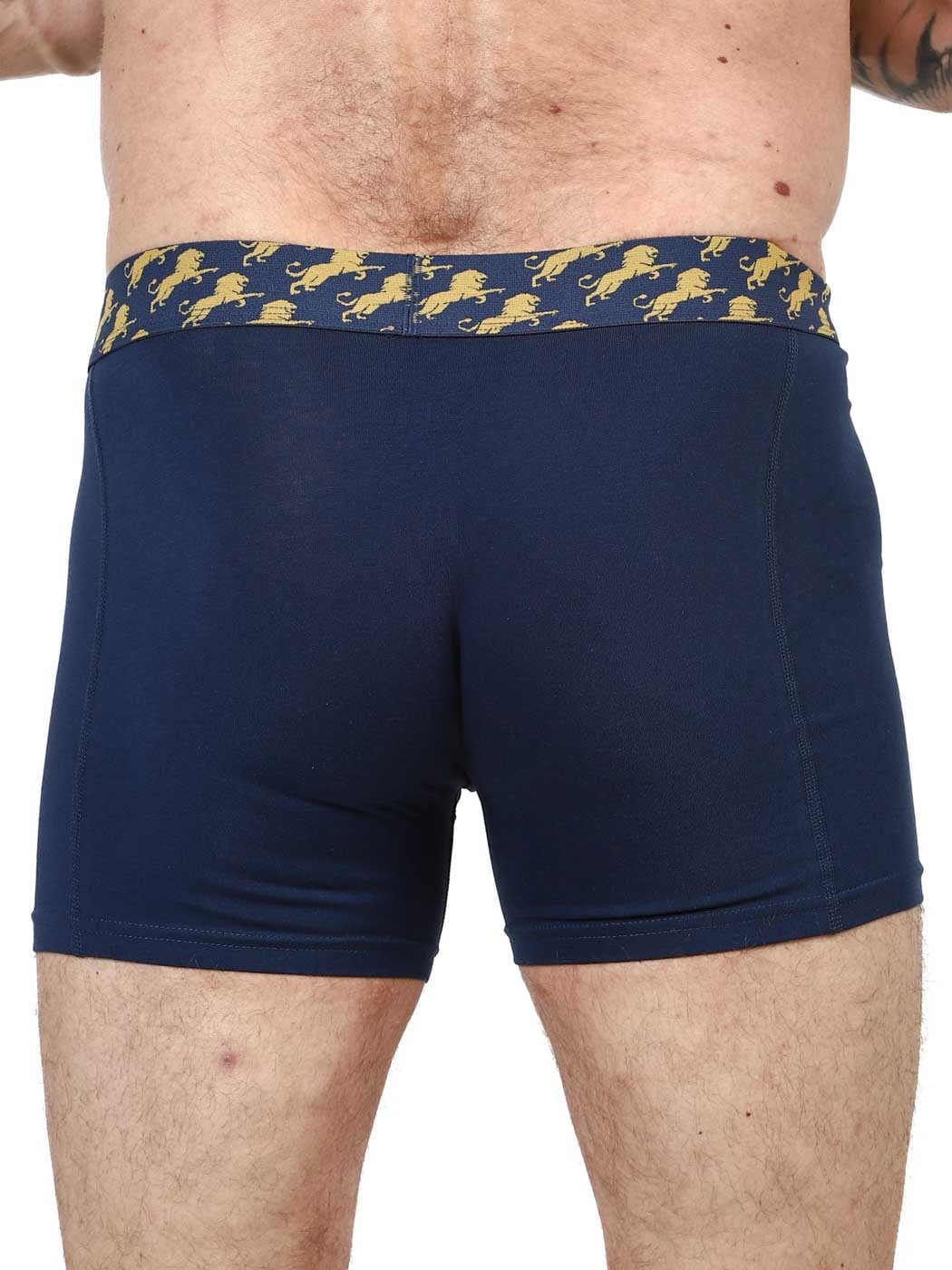 2-Pack Jimmy Royal Lion Boxere_3.jpg