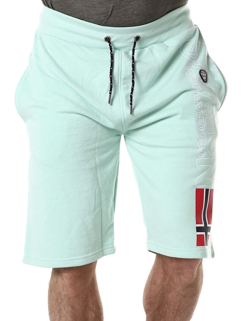 Polar Geo Norway Shorts light green_3.jpg