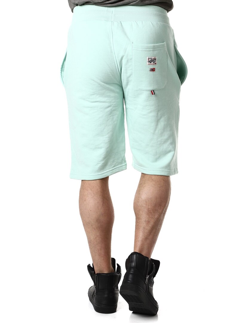 Polar Geo Norway Shorts light green_5.jpg