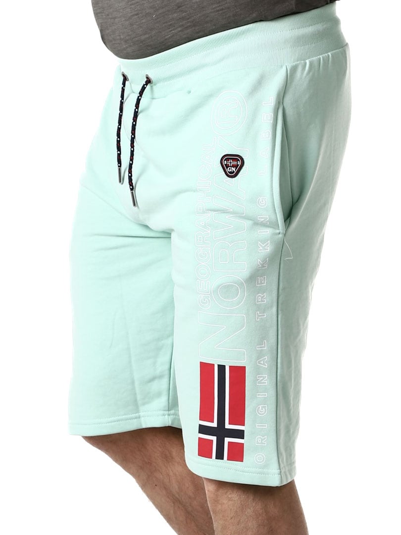 Polar Geo Norway Shorts light green_6.jpg