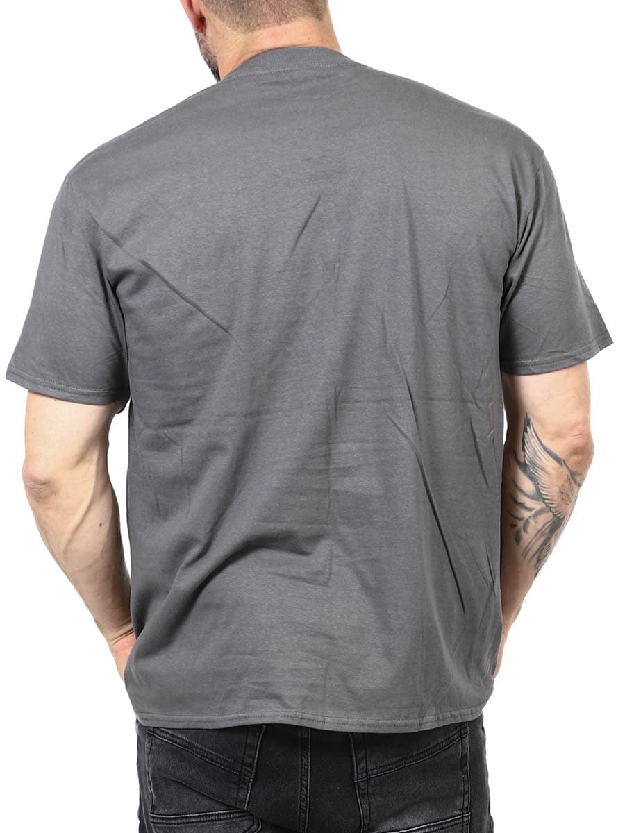 Scorpions Sting T-shirt Grey_4.JPG